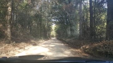 unnamed-13 unnamed-13