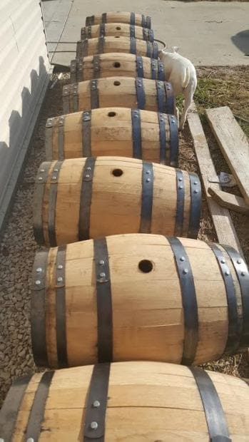 unnamed-14 unnamed-14