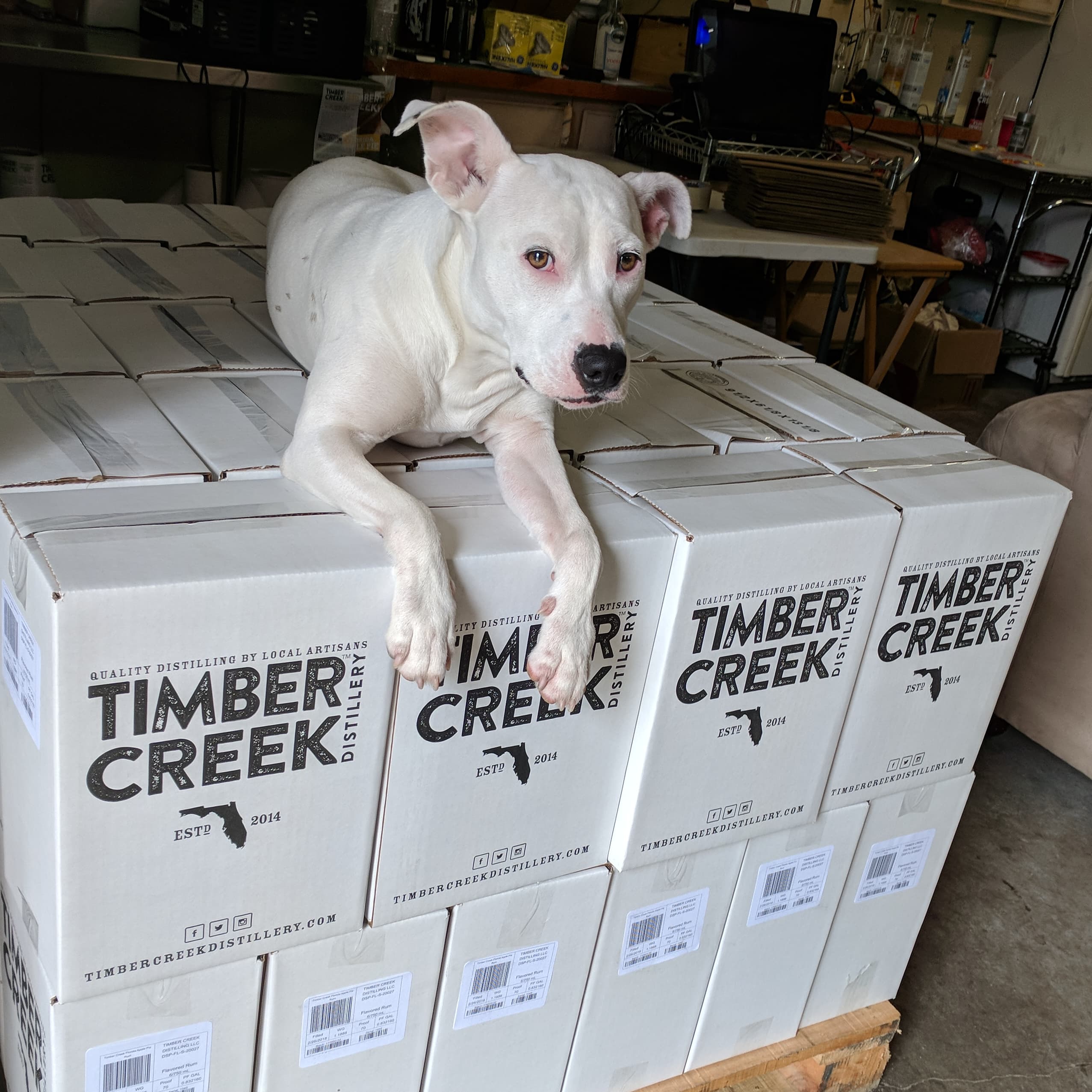 Ghost on Boxes of booze at Timber Creek Distillery near Crestview, Florida